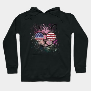 Cat EEUU Hoodie